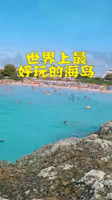 饥饿的松鼠救援
